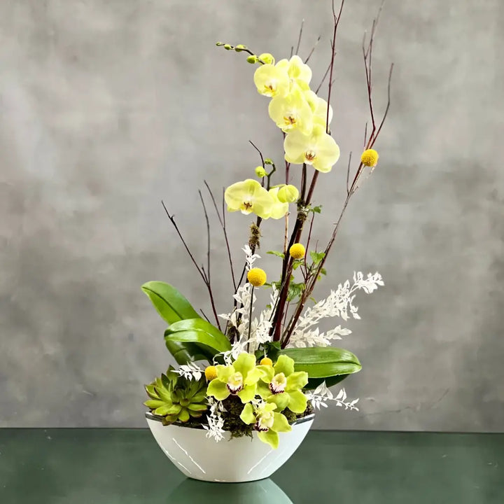 Get Well Flowers