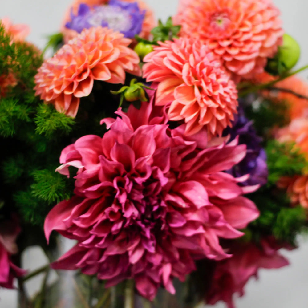 Fall Floral Collection
