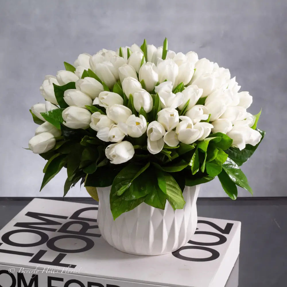 Tulips in Bloom - Santa Monica Florist