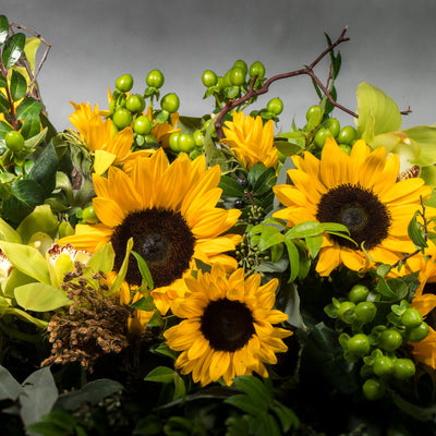 Under the Tuscan Sunflowers - santamonicaflorist