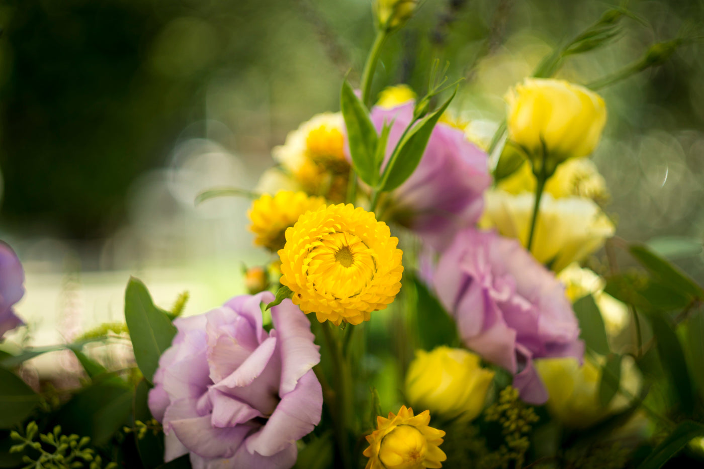 Spring party - Same Day Flower Delivery