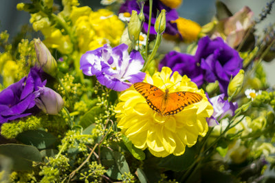 Spring party - Same Day Flower Delivery