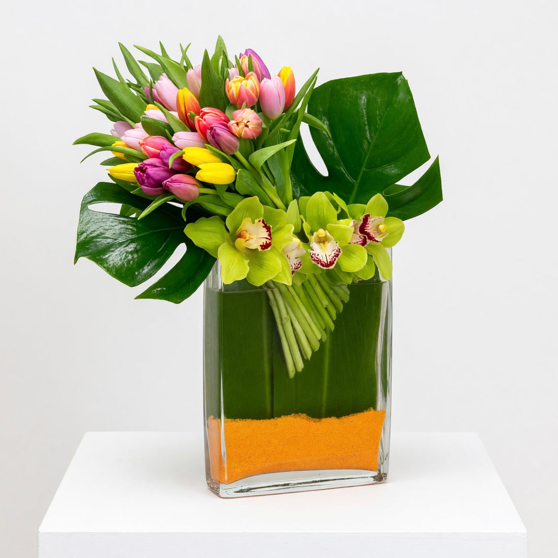 Tulips in Spring