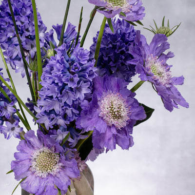 Lavender Seasonal Flowers designers Choice - santamonicaflorist