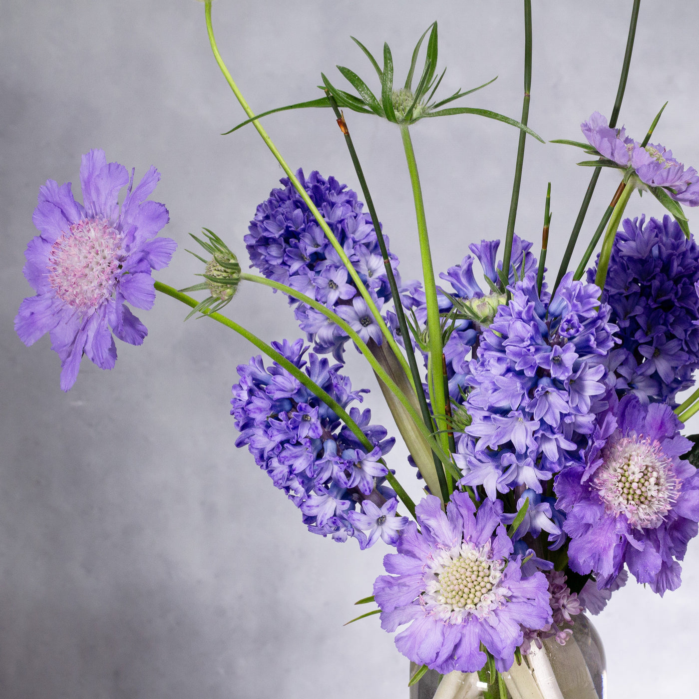 Lavender Seasonal Flowers designers Choice - santamonicaflorist