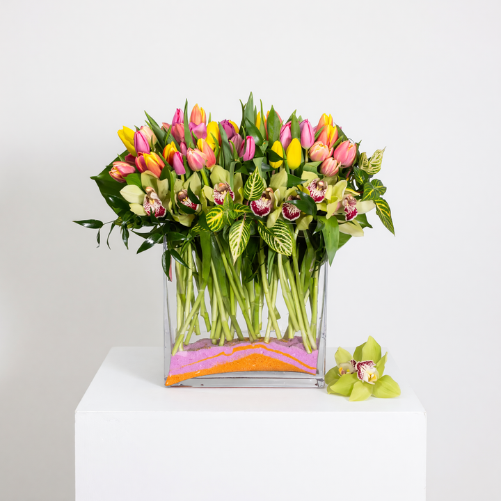 Tulip Joy - Santa Monica Florist - Same Day Delivery