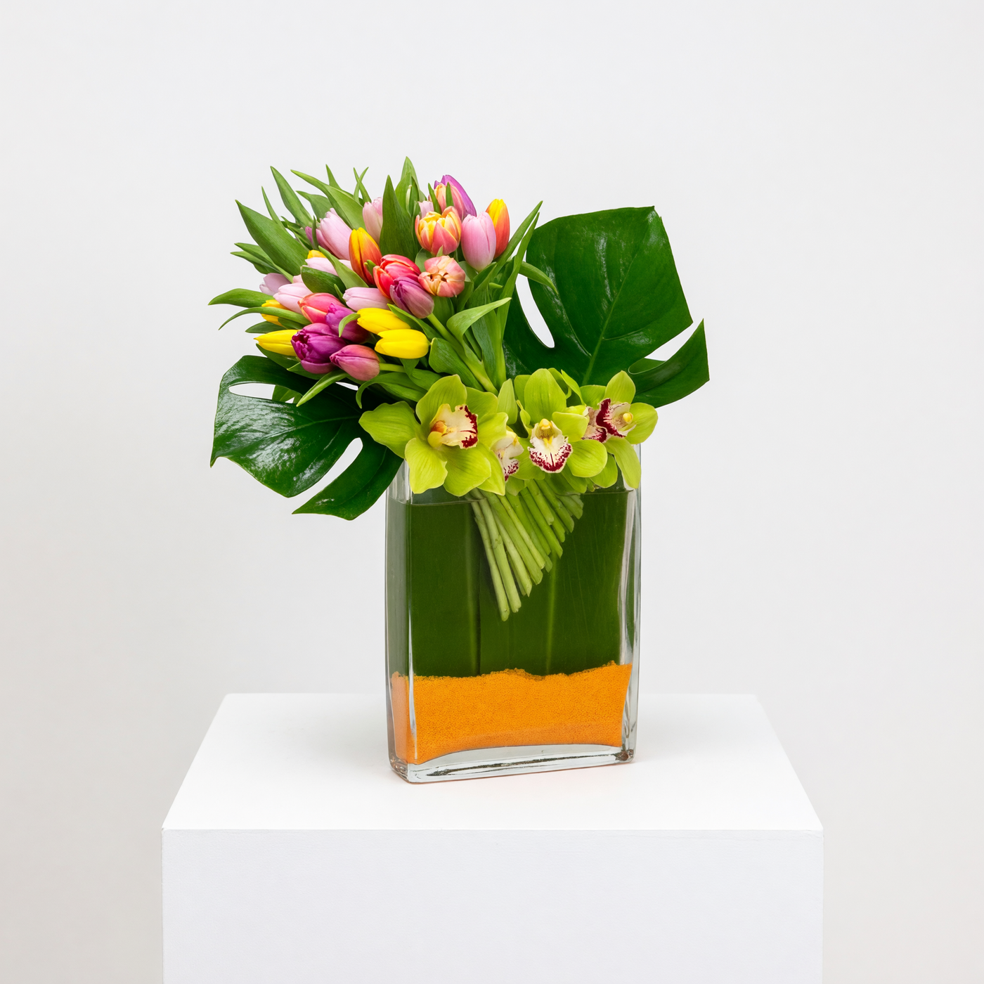 Tulips in Spring