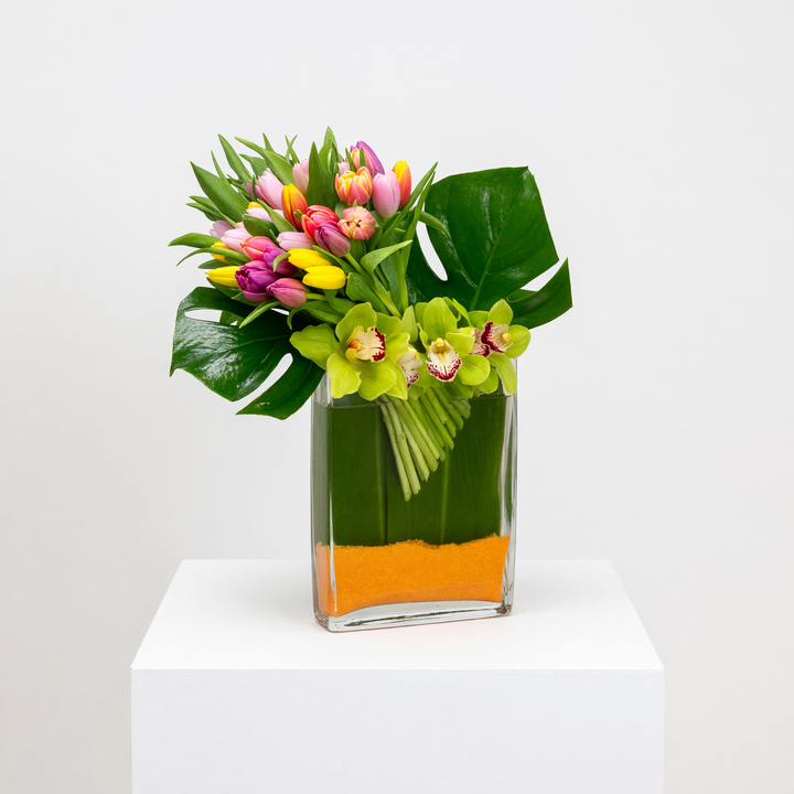 Tulips in Spring