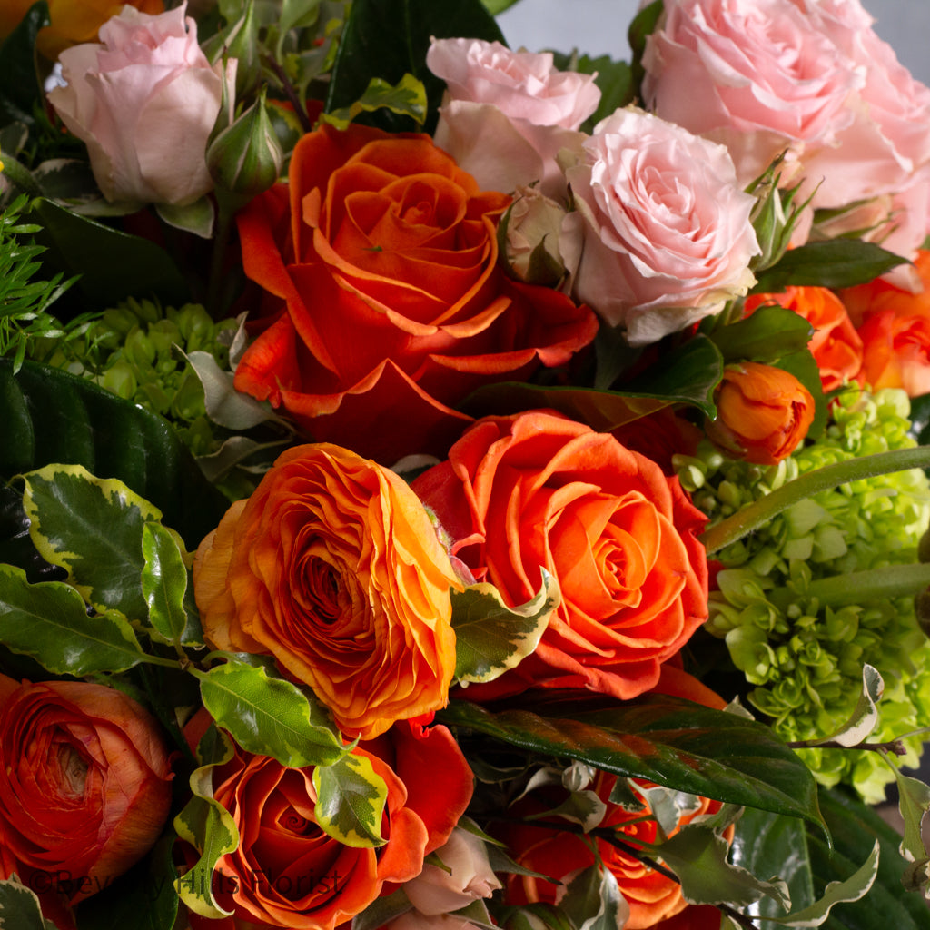 Sunset Serenade Pink Spray Roses in Ceramic Basket Arrangement
Elegant Pink Roses Arrangement in Basket for Same-Day Delivery Santa Monica
Charming Orange and Pink Flower Arrangement for Los Angeles Delivery