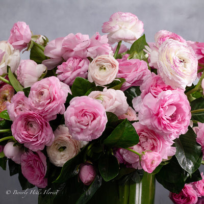 Modern Romance: Pink Ranunculus in a Cylinder of Grace - santamonicaflorist