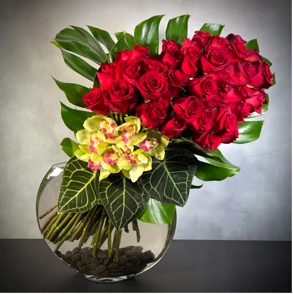 A Chic Symphony with 4 dozen Red Ecuadorian roses and cymbidium orchids in a circular vase, luxury same-day delivery by Santa Monica Florist.