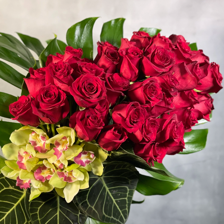 A Chic Symphony with 4 dozen Red Ecuadorian roses and cymbidium orchids in a circular vase, luxury same-day delivery by Santa Monica Florist.