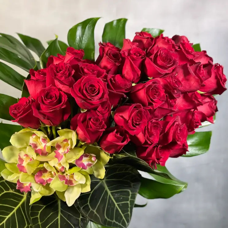 A Chic Symphony with 4 dozen Red Ecuadorian roses and cymbidium orchids in a circular vase, luxury same-day delivery by LA Orchidia.