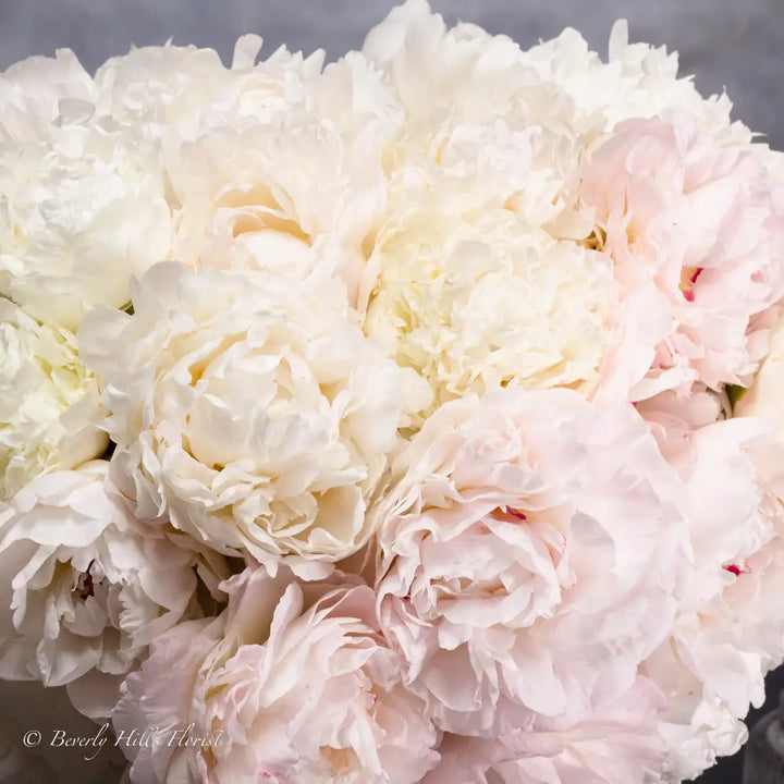 A Peony Fairy Tale - Santa Monica Florist