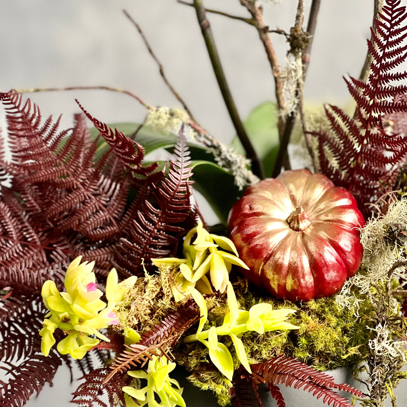 Beautiful as Always double yellow orchids with fall accents in a modern matte black ceramic bowl, available for same-day delivery by Santa Monica Florist.