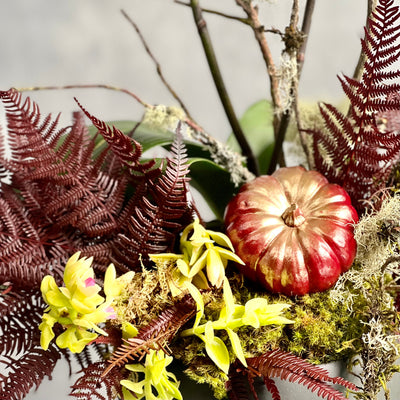 Beautiful as Always double yellow orchids with fall accents in a modern matte black ceramic bowl, available for same-day delivery by Santa Monica Florist.