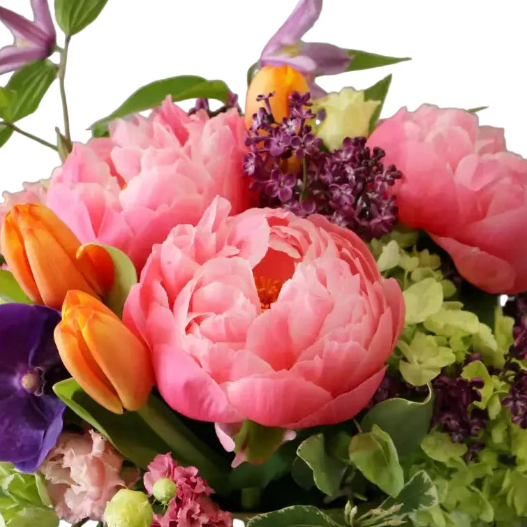 Chic ceramic vase arrangement with peonies, hydrangeas, and tulips – LA Orchidia same day delivery