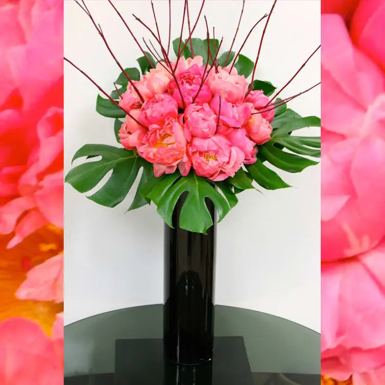 LA Orchidia presents same day delivery for our Celestial Peonies. Perfect for love and romance, decore, Birthdays and more ! Consists of beautiful Peonies, seasonal greens and is accented with a tall black vase! 