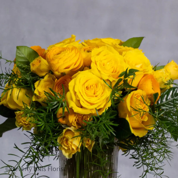 Citrus Burst - LA Orchidia