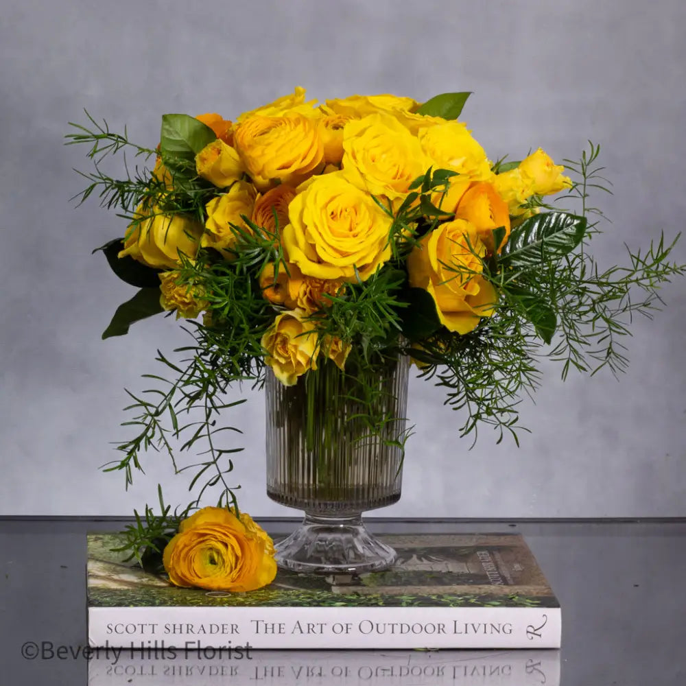 Citrus Burst - LA Orchidia