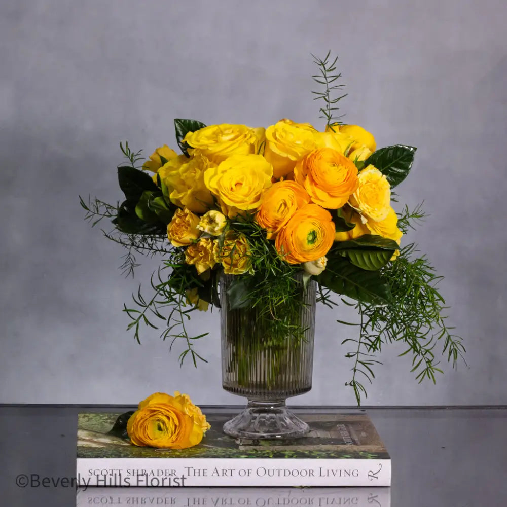 Citrus Burst - LA Orchidia