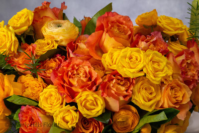 Compact floral arrangement with orange peel-colored blooms in a white ceramic vase, perfect for same-day delivery.