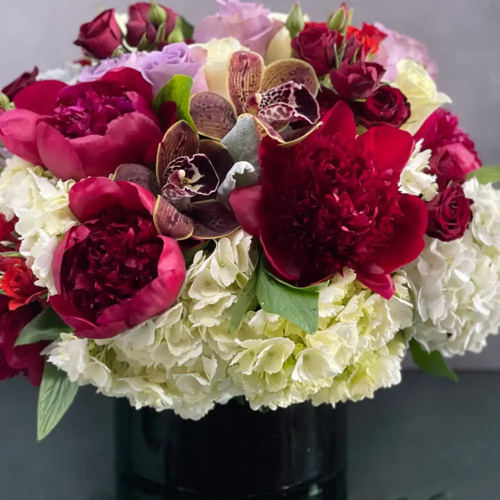 Color my world - LA Orchidia