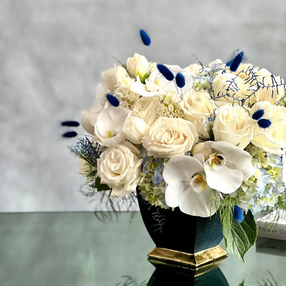 Cool Elegance - LA Orchidia