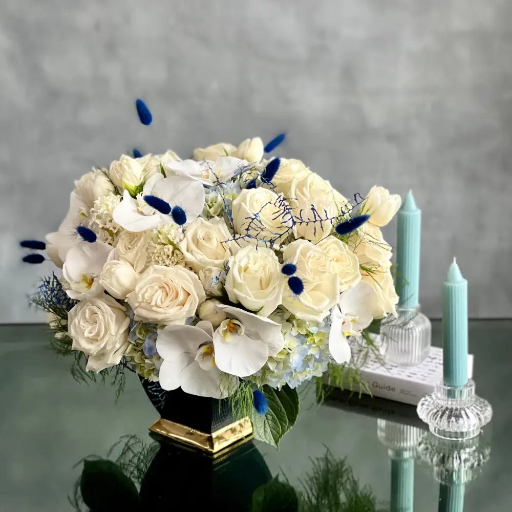 Cool Elegance - LA Orchidia