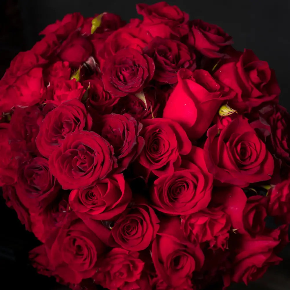 Crimson Reds - LA Orchidia