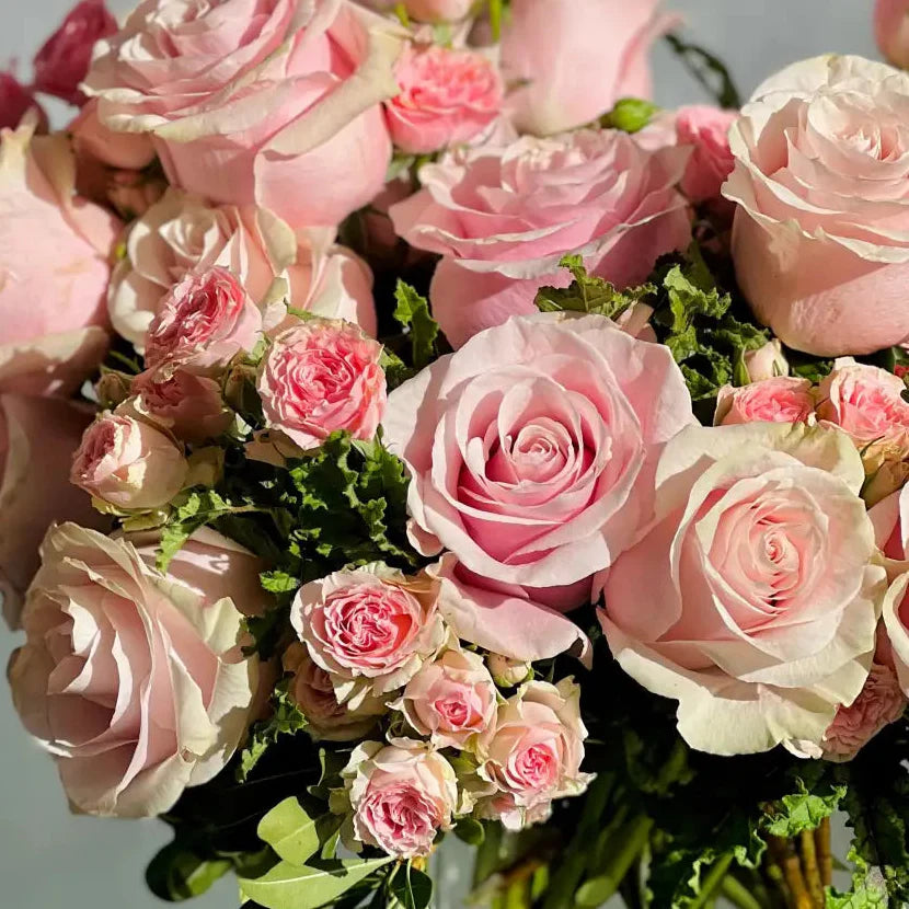 Dance With Me Darling - LA Orchidia