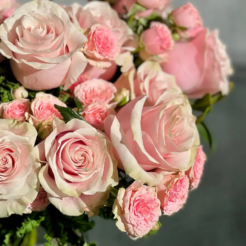 Dance With Me Darling - LA Orchidia