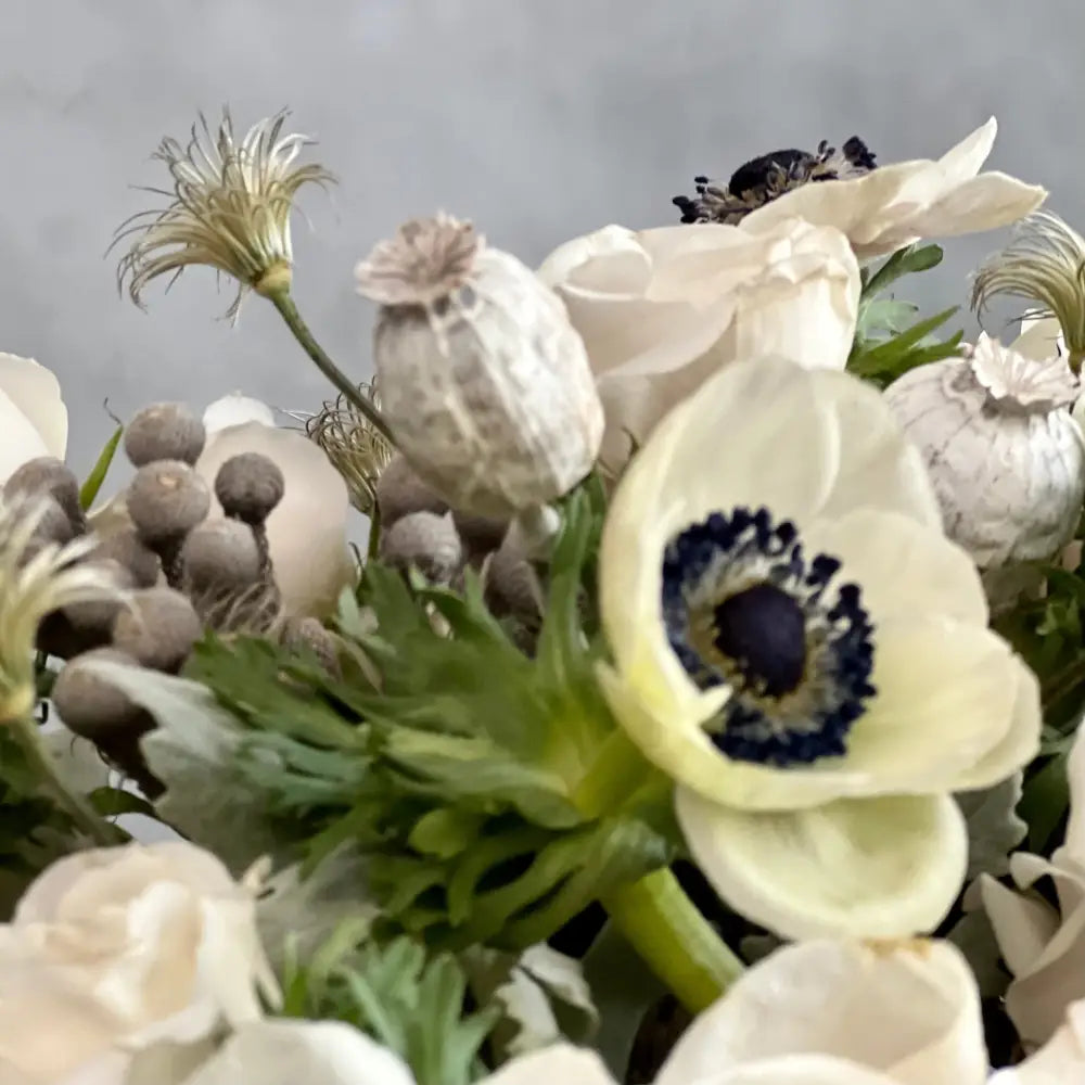 Delicate Whites - LA Orchidia