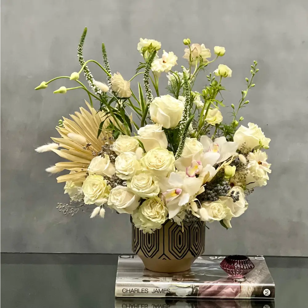 Designer's Choice - Isle of White - LA Orchidia