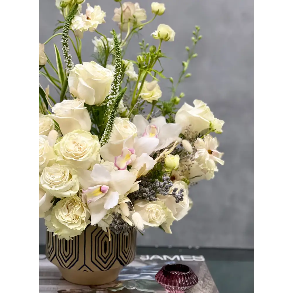 Designer's Choice - Isle of White - LA Orchidia