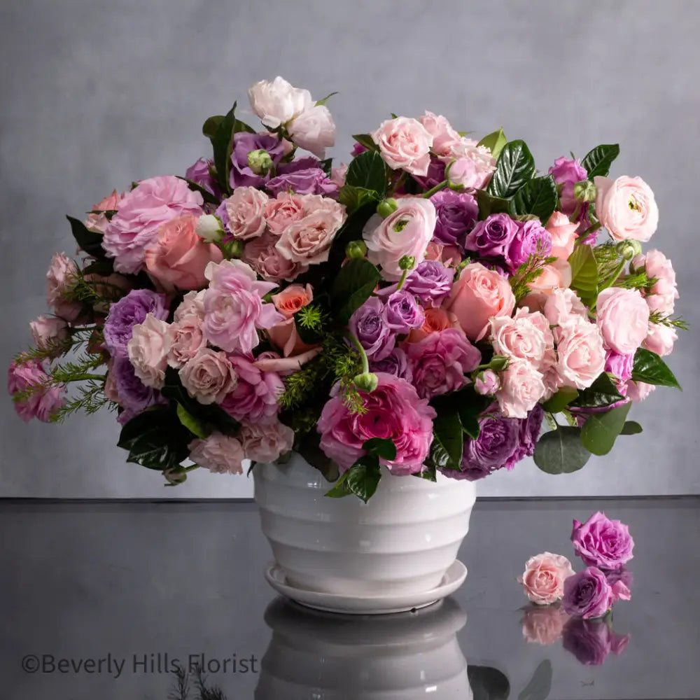 Pink Petal Palette - LA Orchidia