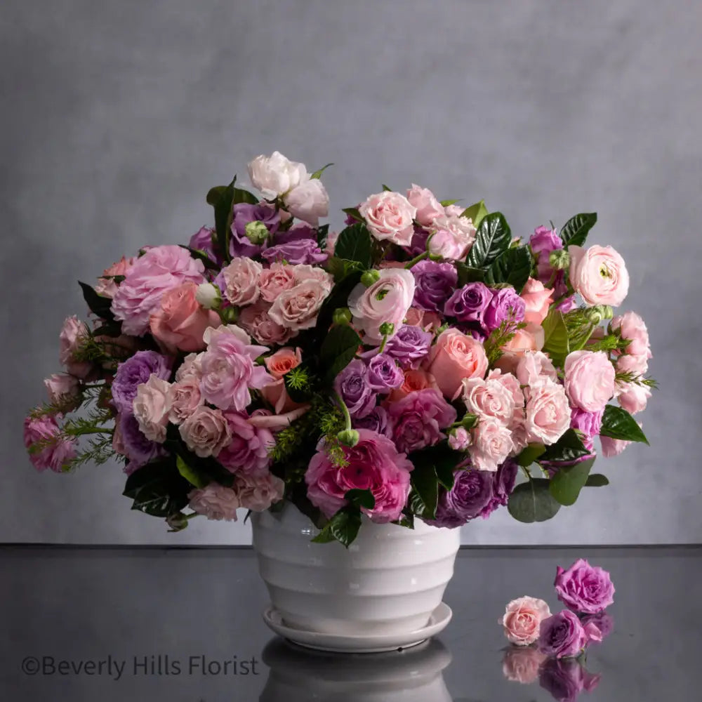 Pink Petal Palette - LA Orchidia