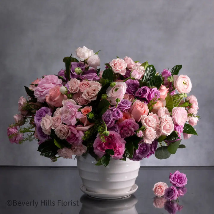 Pink Petal Palette - LA Orchidia