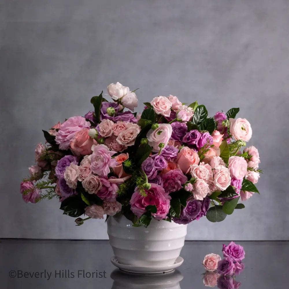 Pink Petal Palette - LA Orchidia