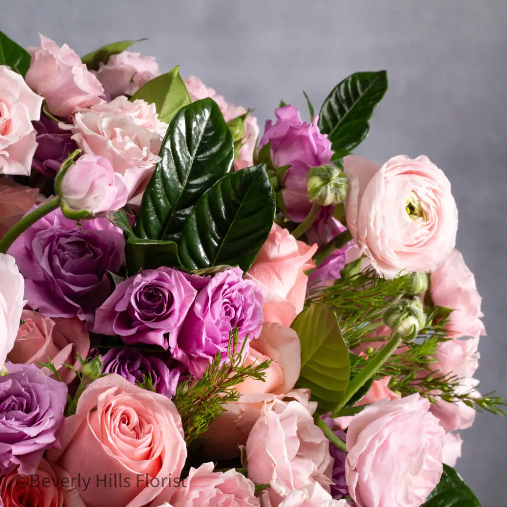 Pink Petal Palette - LA Orchidia