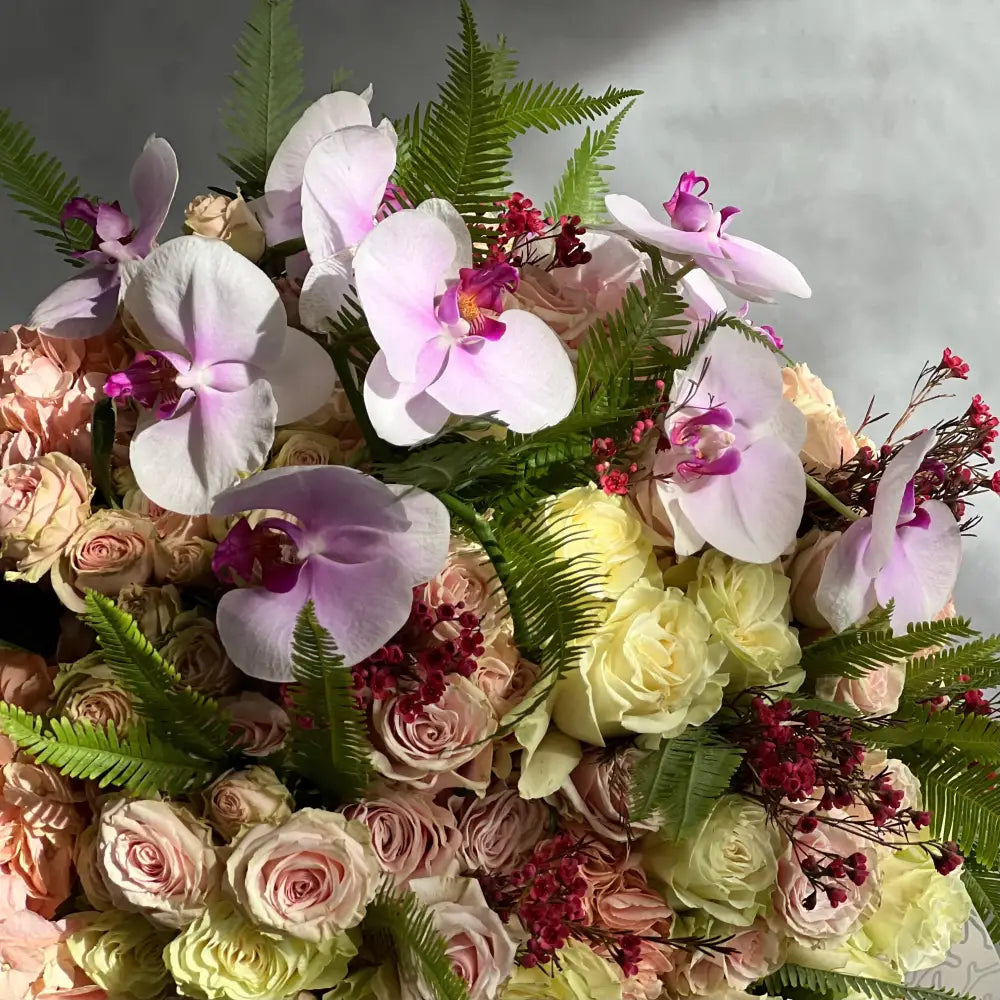 designers - LA Orchidia