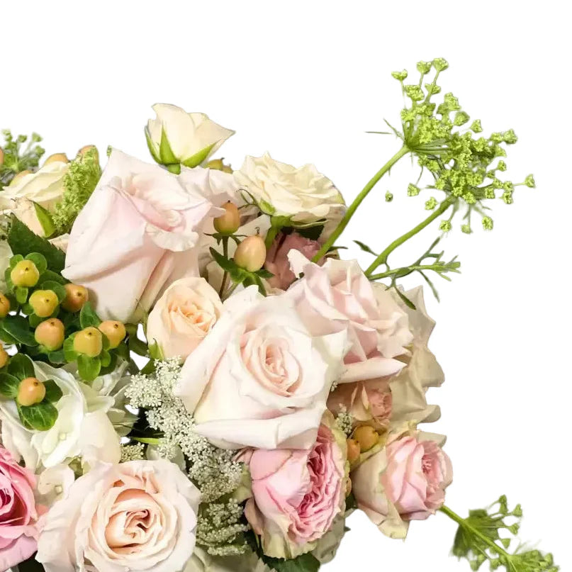 Designer's Choice Soft and Blush Roses, Same day delivery Los Angeles