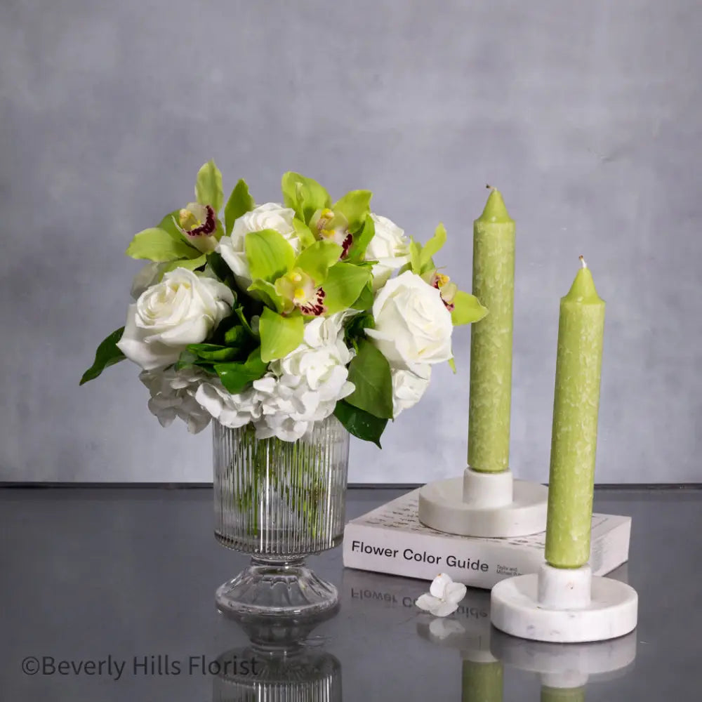 $125-$10,000 - White and Green - LA Orchidia
