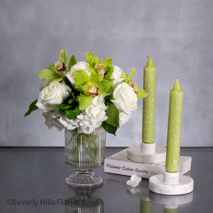 $125-$10,000 - White and Green - LA Orchidia