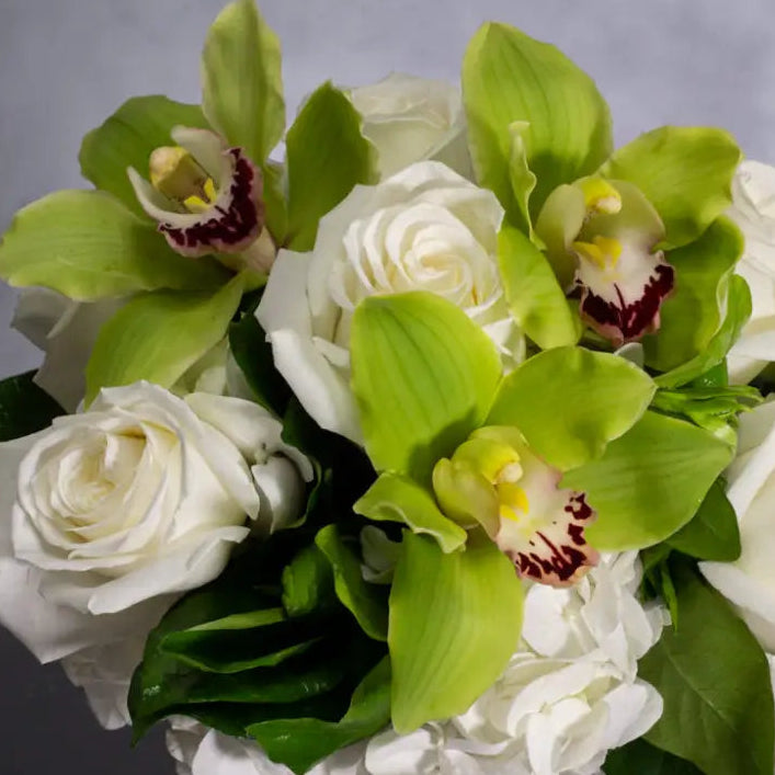 Designer's Choice White and Green alt 3