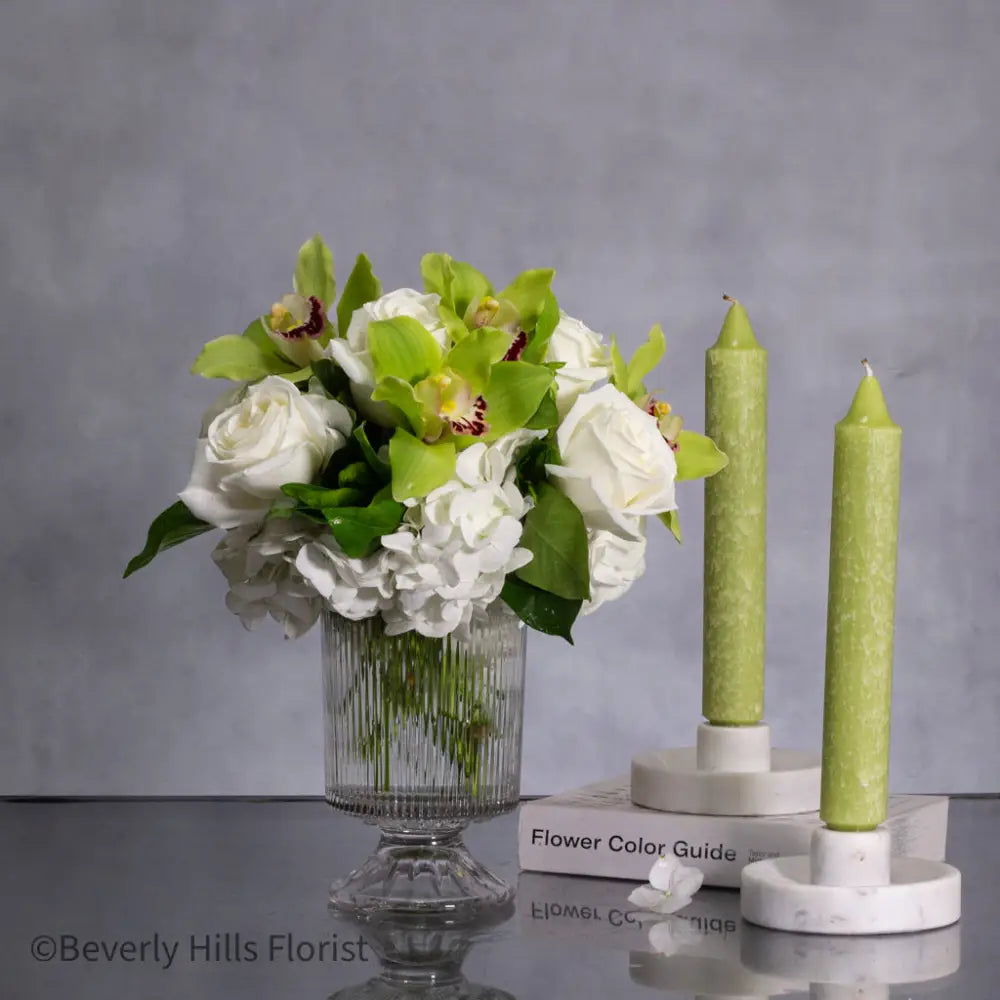 $125-$10,000 - White and Green - LA Orchidia