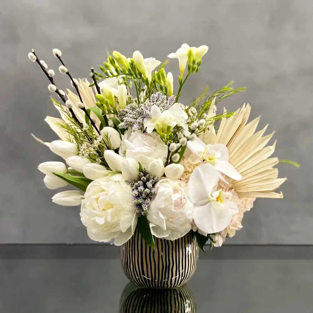 Designer's Choice - White - LA Orchidia