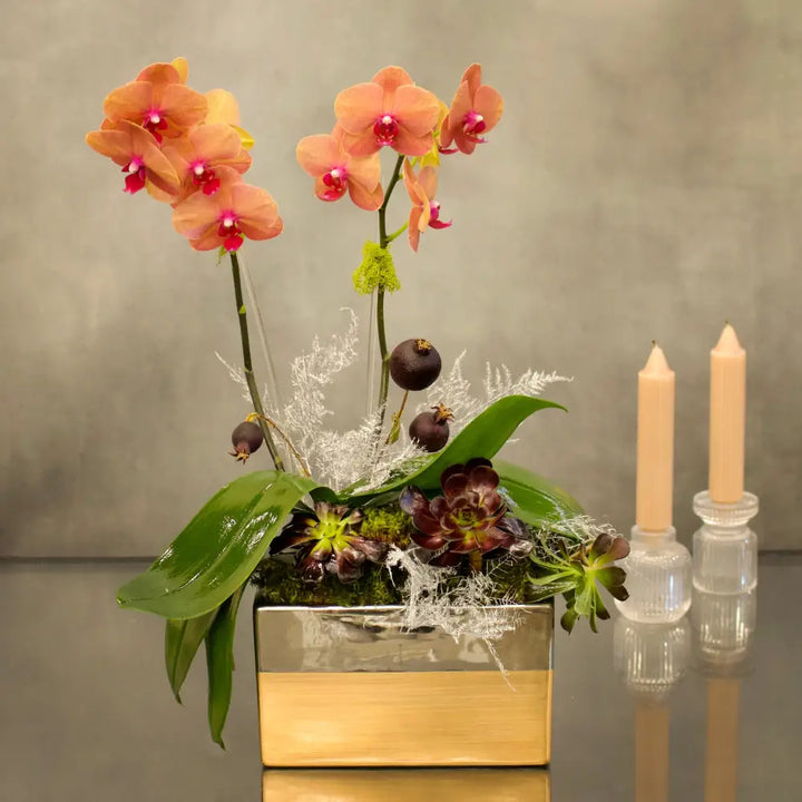 Double Peach Fall Orchids in a copper-silver vase with succulents, 18 inches tall.