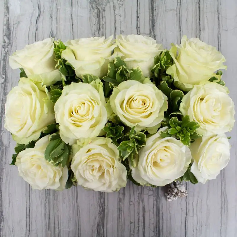Elegance In A Box - LA Orchidia