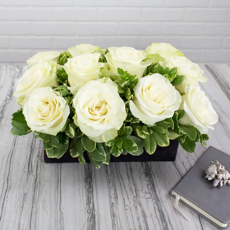Elegance In A Box - LA Orchidia